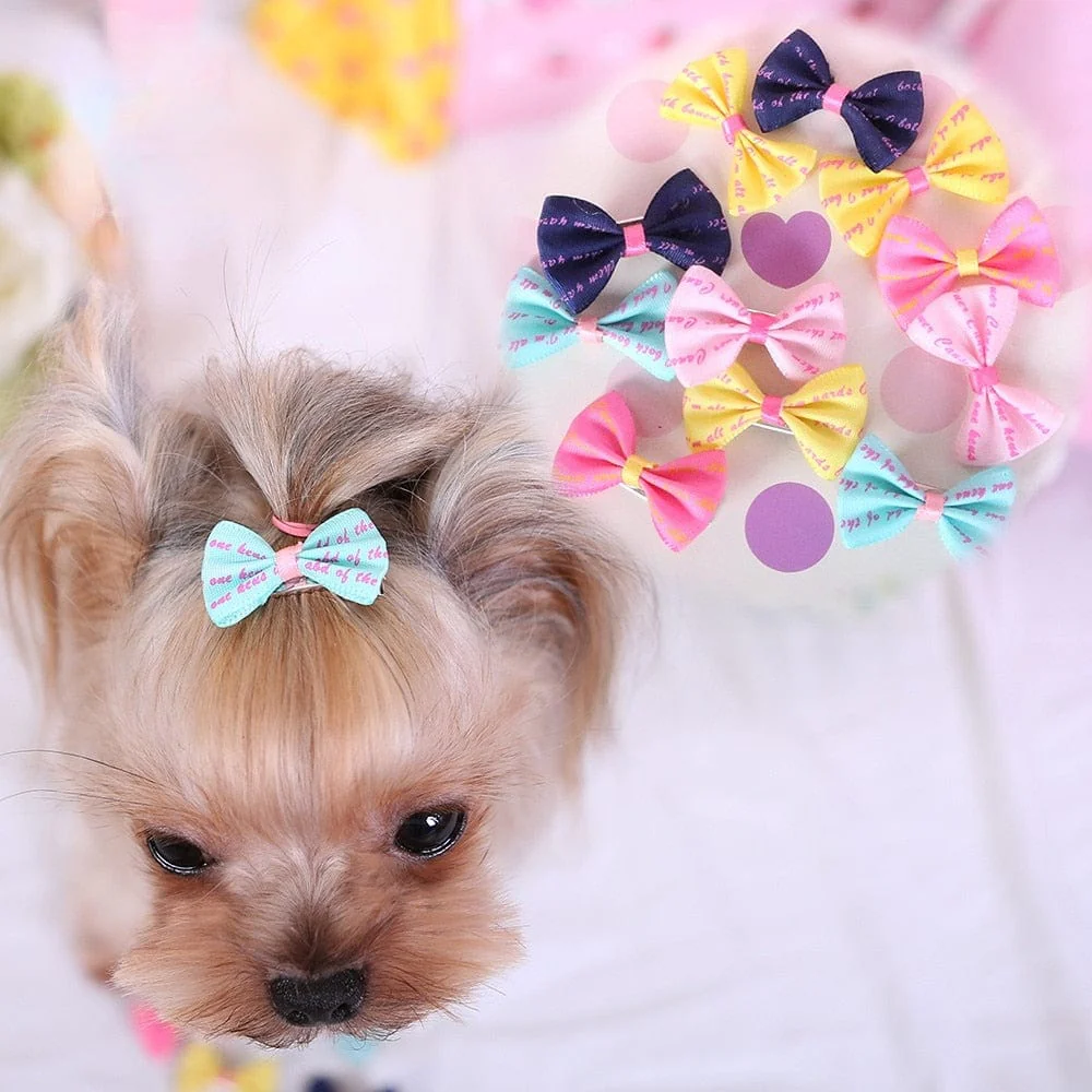 5Pcs/set Cute Colorful Dog Hairpin - Image 6