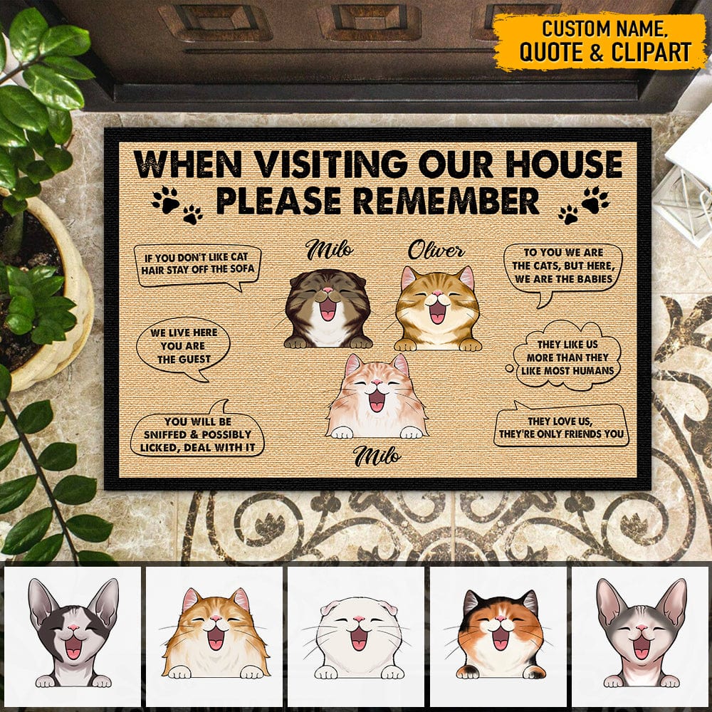 When Visiting My House Cat Doormat N304 HN590