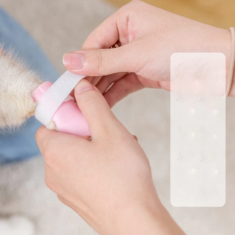 Adjustable Silicone Anti-scratch Cat Foot Shoes - Image 4