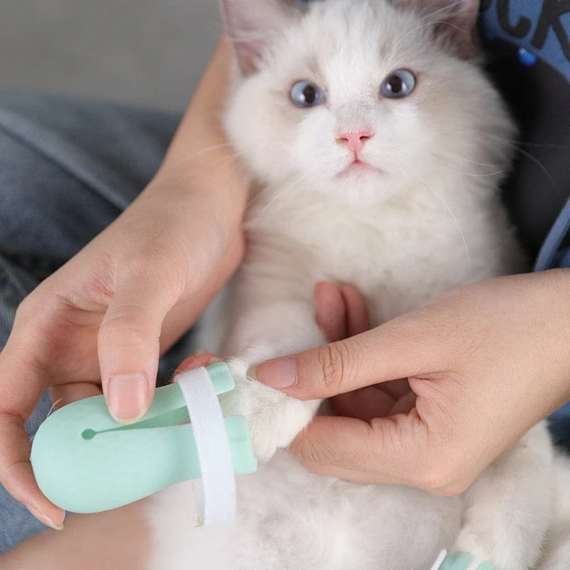Adjustable Silicone Anti-scratch Cat Foot Shoes - Image 8