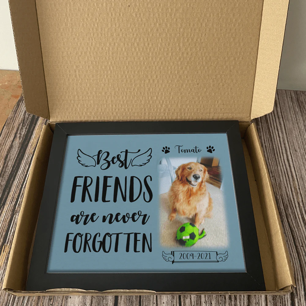 Best Friends Are Never Forgotten Dog Picture Frame - Image 4