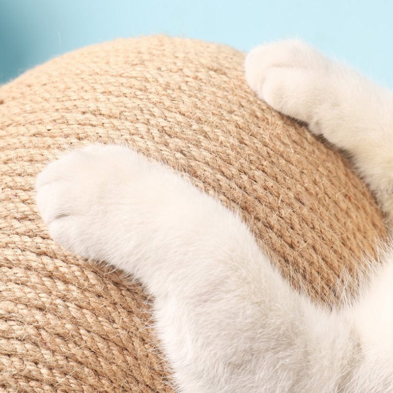 Cat Scratching Ball Toy - Image 7