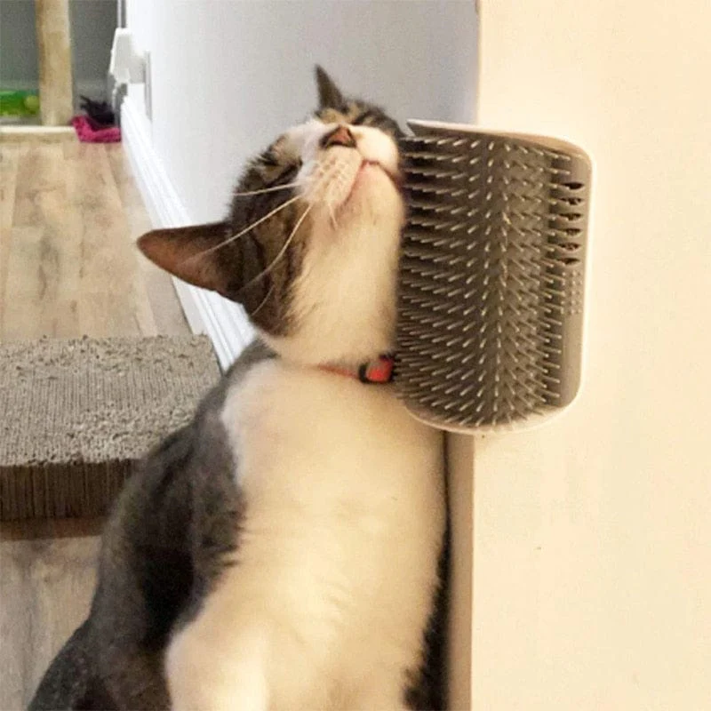 Cat Self Groomer Massage Comb with Catnip