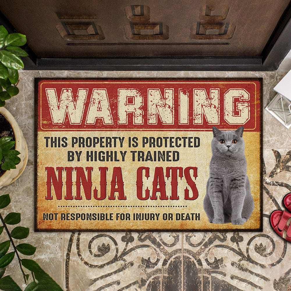Custom Photo This Property Is Protected By My Cat Doormat TA29 889831 - Image 4