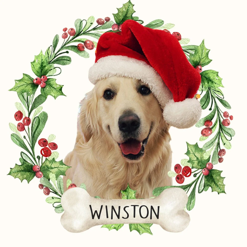 Customize Photo Dog Ceramic Ornament For Christmas TH10 889847 - Image 8