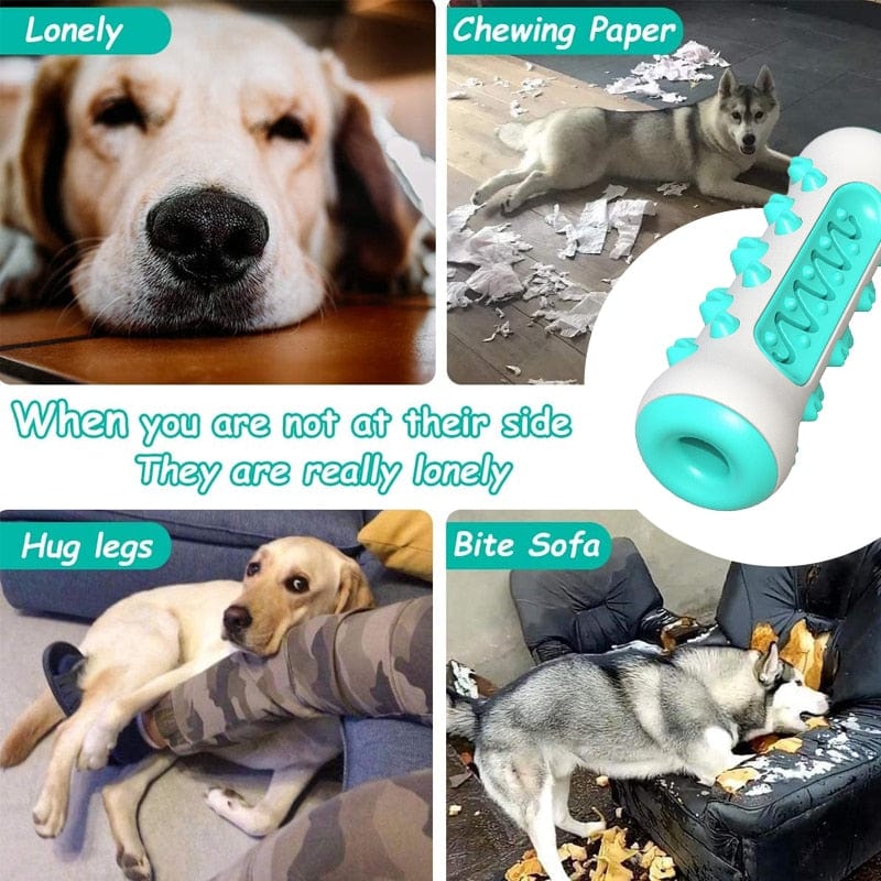 Safe Puppy Dental Care Soft Pet Toothbrush Toys Chew Cleaning Teeth - Image 2