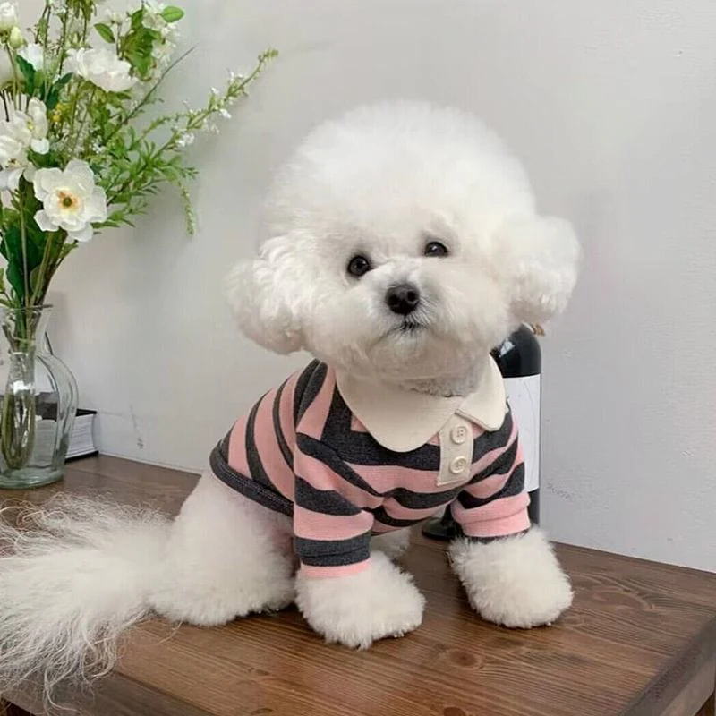 Dog Polo Shirt Soft Pullover Suit for Puppy - Image 5