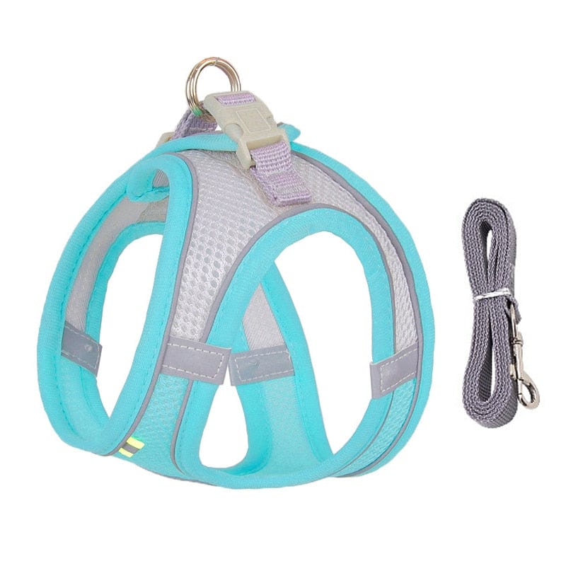 Dog Harness Leash Set for Small Dogs - Image 10