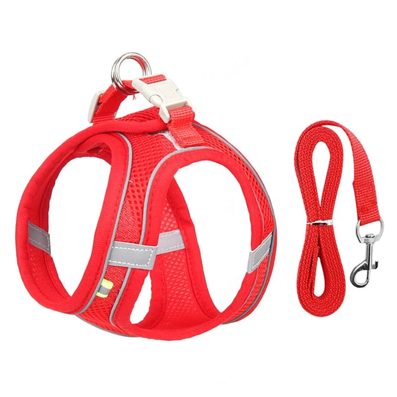Dog Harness Leash Set for Small Dogs - Image 11