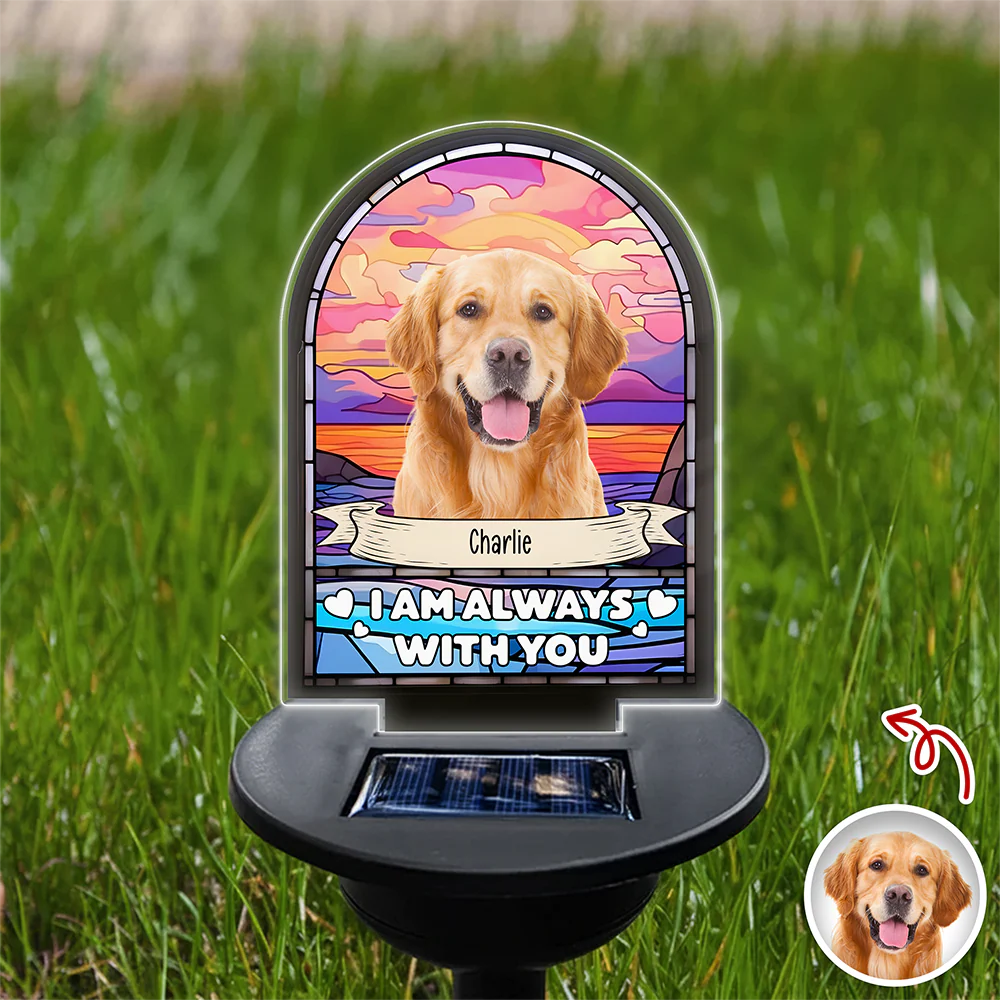 Custom Dog Cat Photo I'm Always With You Memorial Solar Light TH10 896055 - Image 2