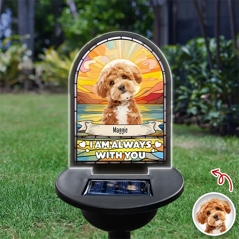 Custom Dog Cat Photo I'm Always With You Memorial Solar Light TH10 896055 - Image 3
