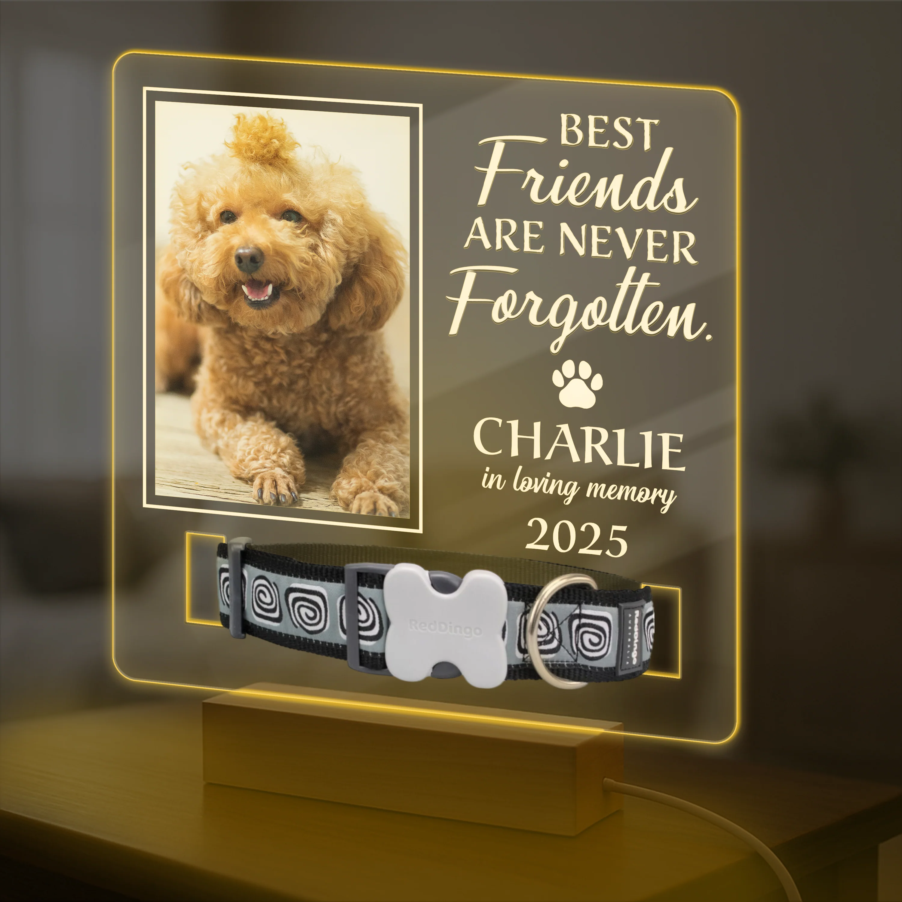 Custom Photo Best Friends Are Never Forgotten Memorial Acrylic Collar Frame TH10 894107 - Image 4