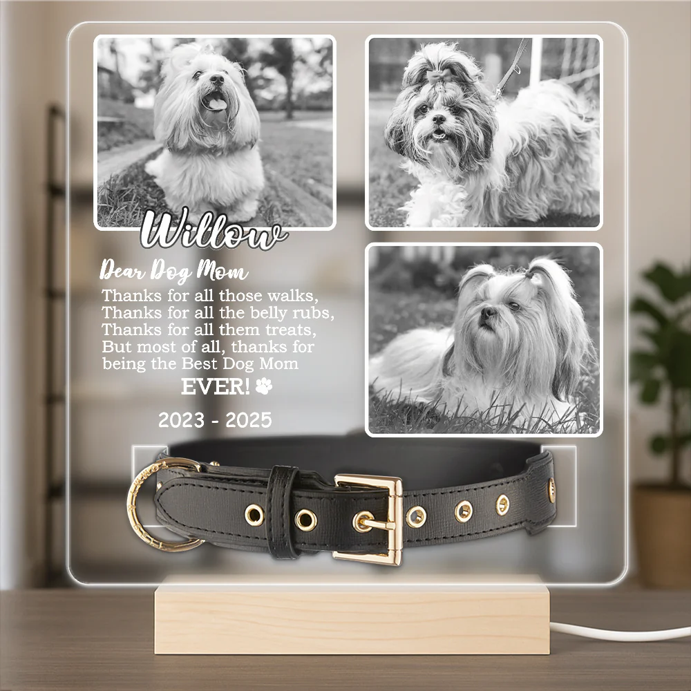 Custom Photo Don't Cry For Me Memorial Acrylic Collar Frame TH10 894109 - Image 3