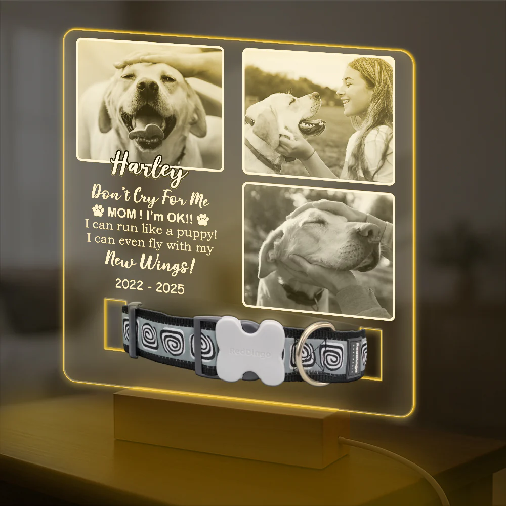 Custom Photo Don't Cry For Me Memorial Acrylic Collar Frame TH10 894109 - Image 4