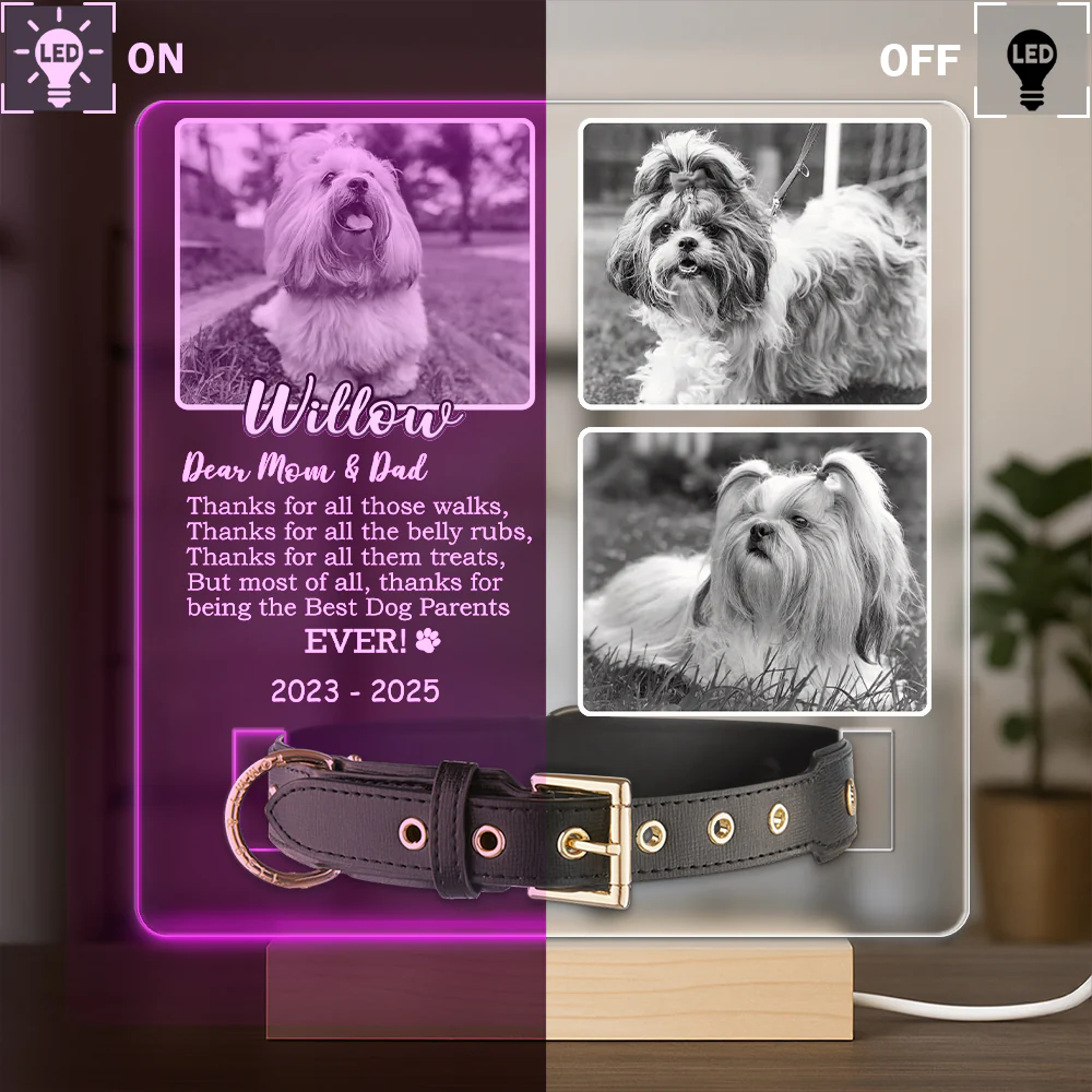 Custom Photo Don't Cry For Me Memorial Acrylic Collar Frame TH10 894109 - Image 5