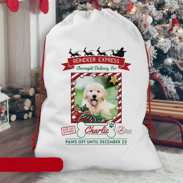 Custom Photo Overnight Delivery For Your Dog Christmas Gift Bag TH10 896981 - Image 2
