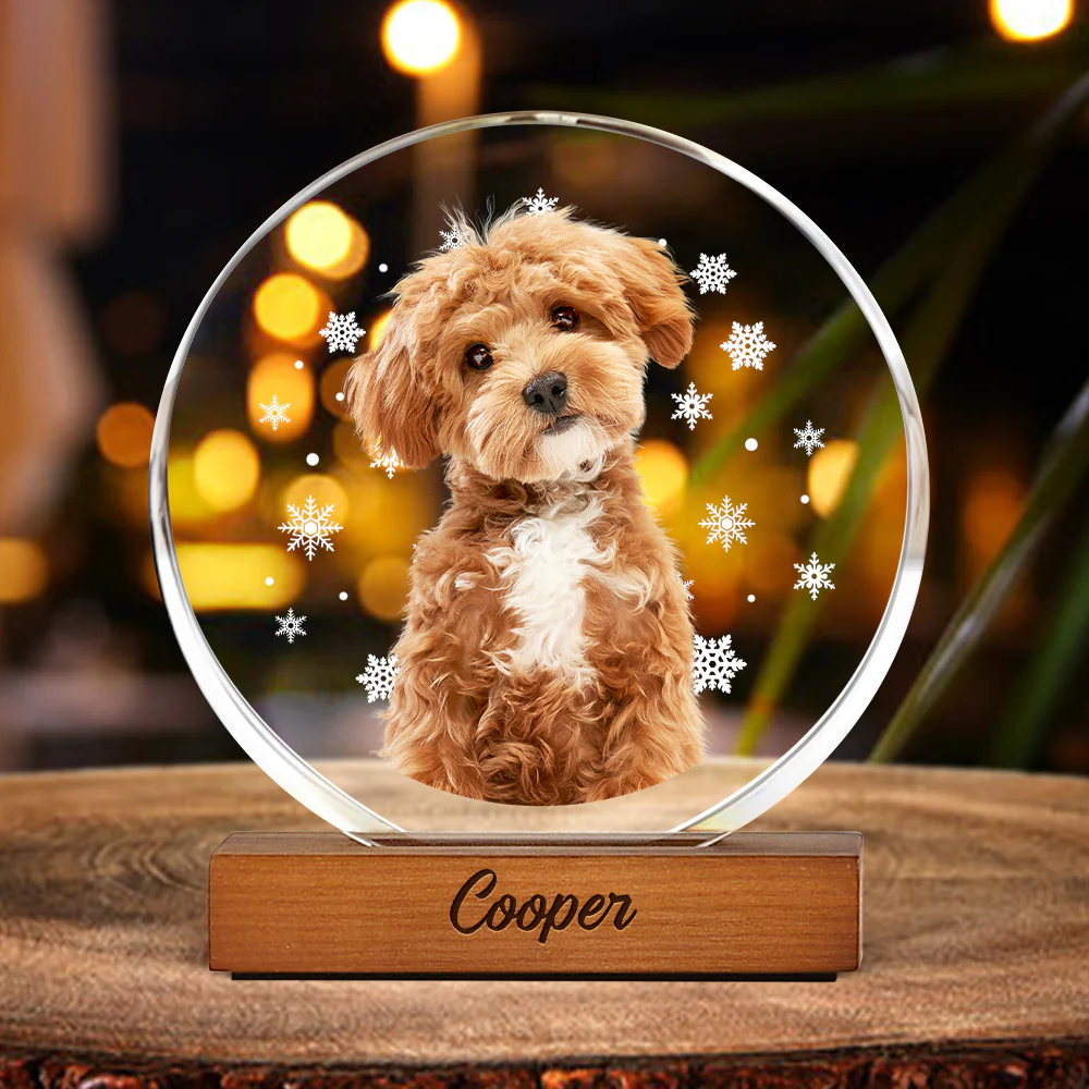 Custom Photo With Snowflake For Pet Lover Round Acrylic Frame Block TH10 894313 - Image 2