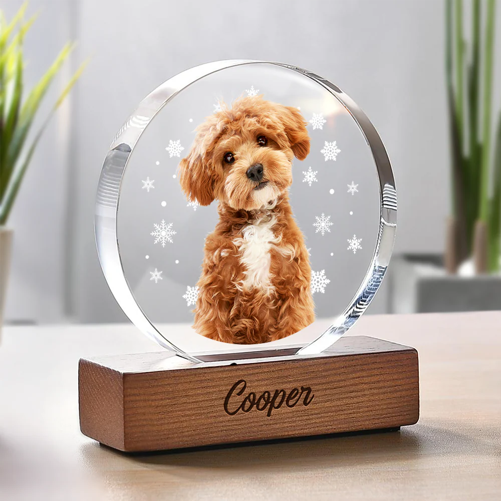 Custom Photo With Snowflake For Pet Lover Round Acrylic Frame Block TH10 894313 - Image 3
