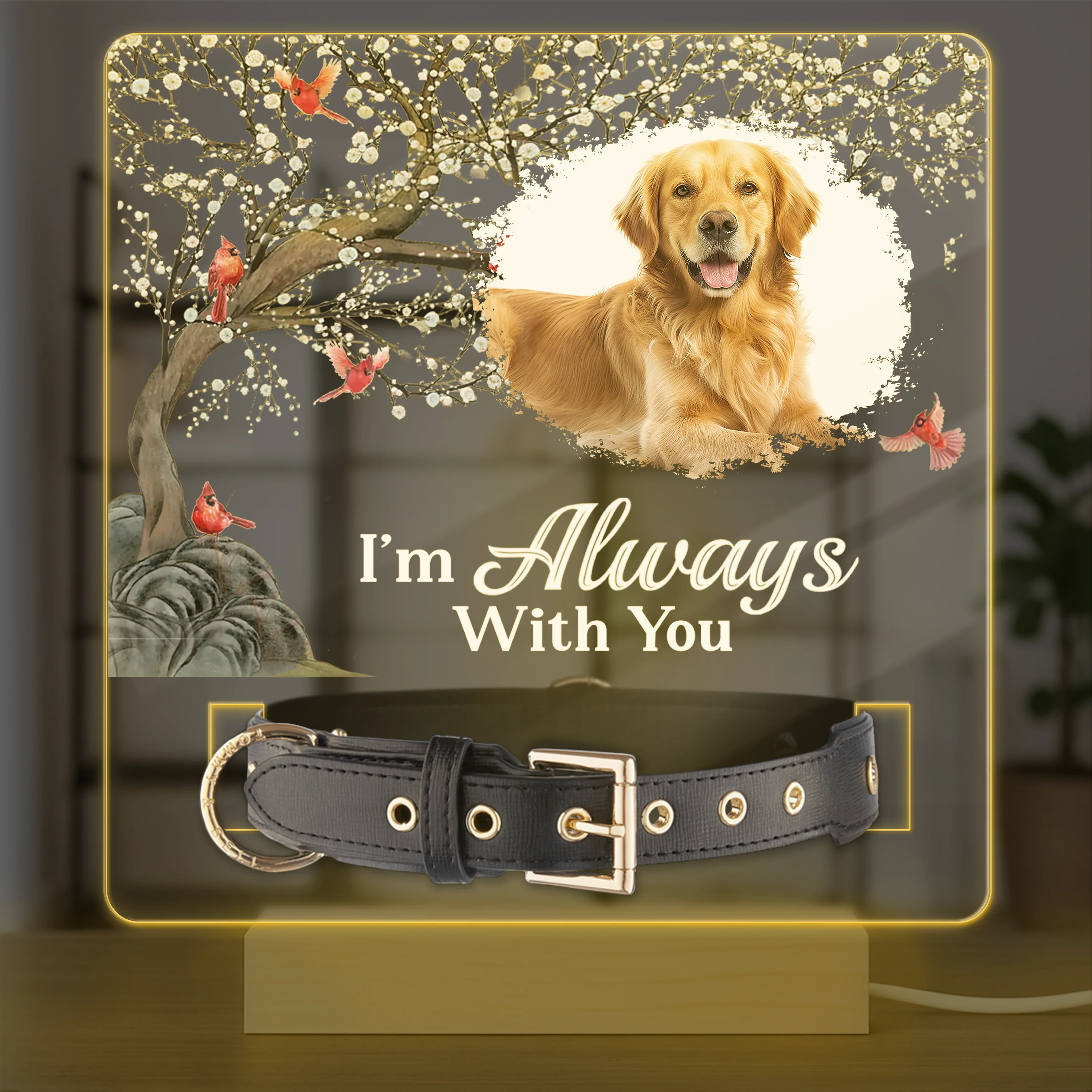Custom Photo Your Light Will Always Shine In My Heart Memorial Acrylic Collar Frame TH10 894093 - Image 11