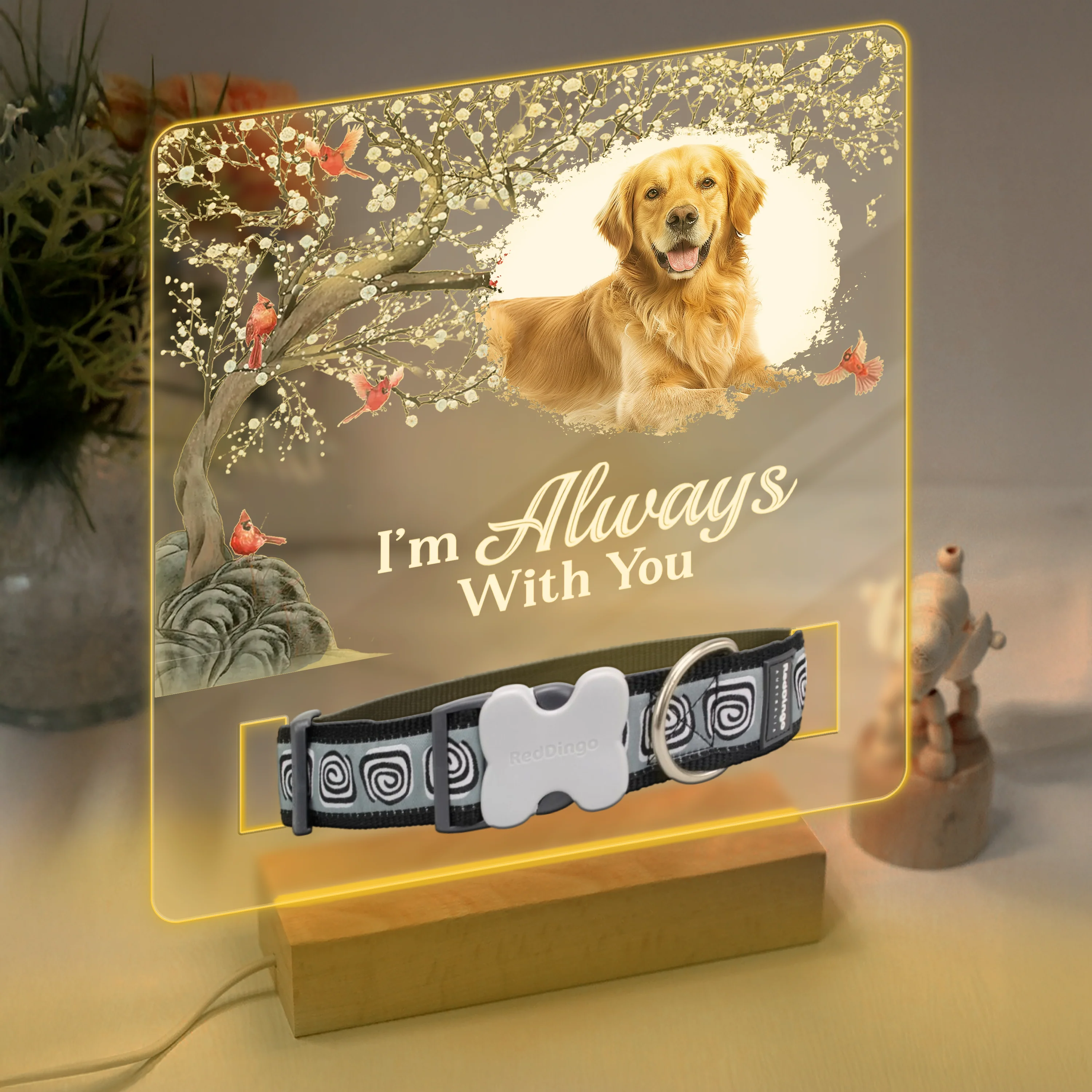Custom Photo Your Light Will Always Shine In My Heart Memorial Acrylic Collar Frame TH10 894093 - Image 3