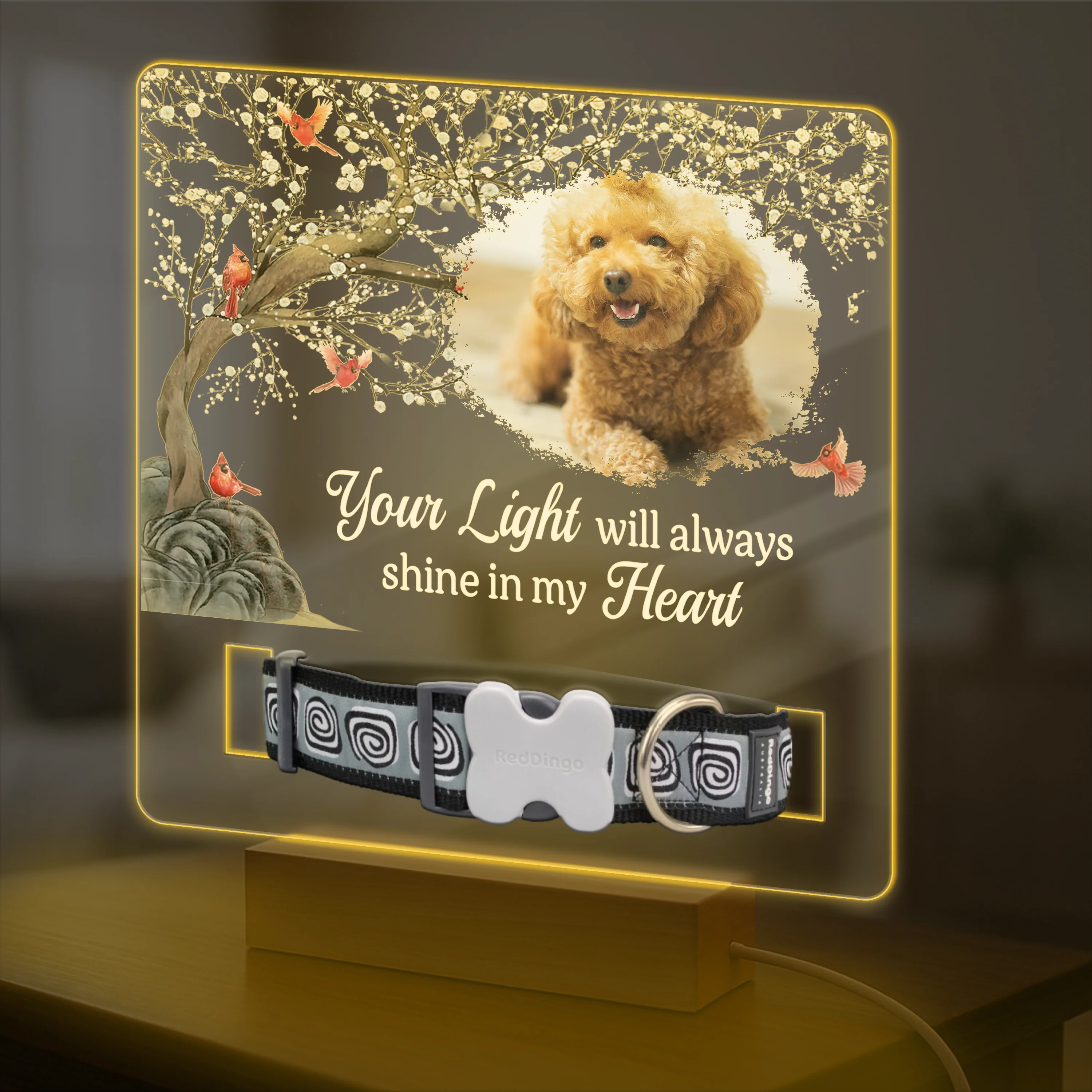 Custom Photo Your Light Will Always Shine In My Heart Memorial Acrylic Collar Frame TH10 894093 - Image 4