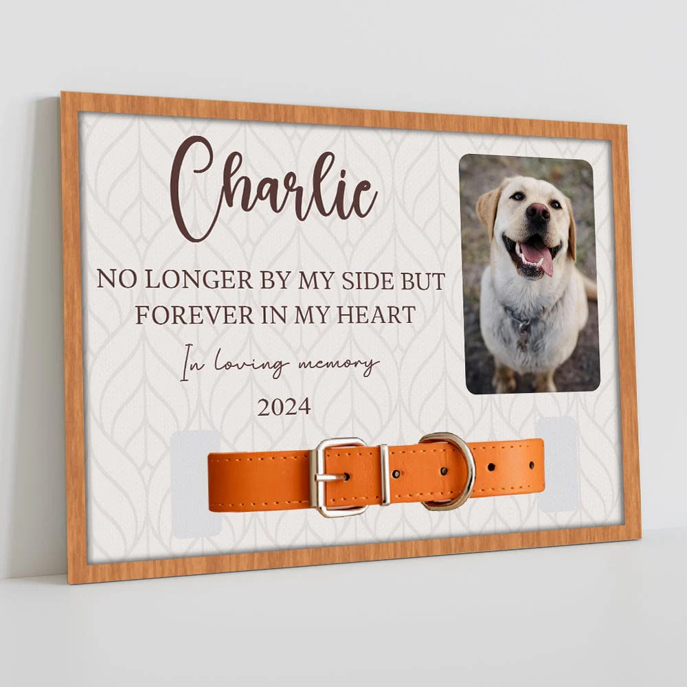No Longer By My Side But Forever In My Heart Dog Collar Frame TH10 891695 - Image 5