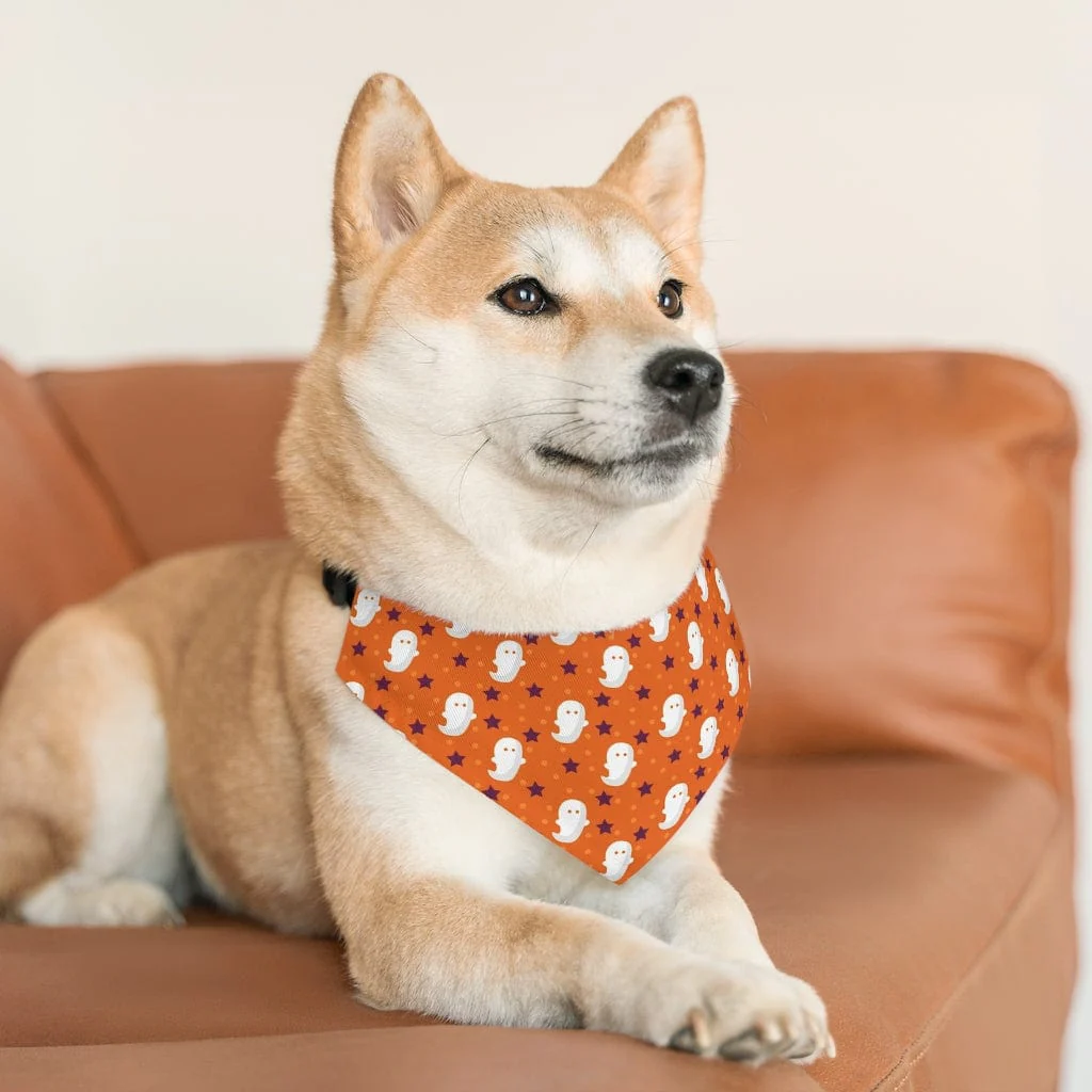 Halloween Pattern Boo Pet Bandana Collar - Image 8