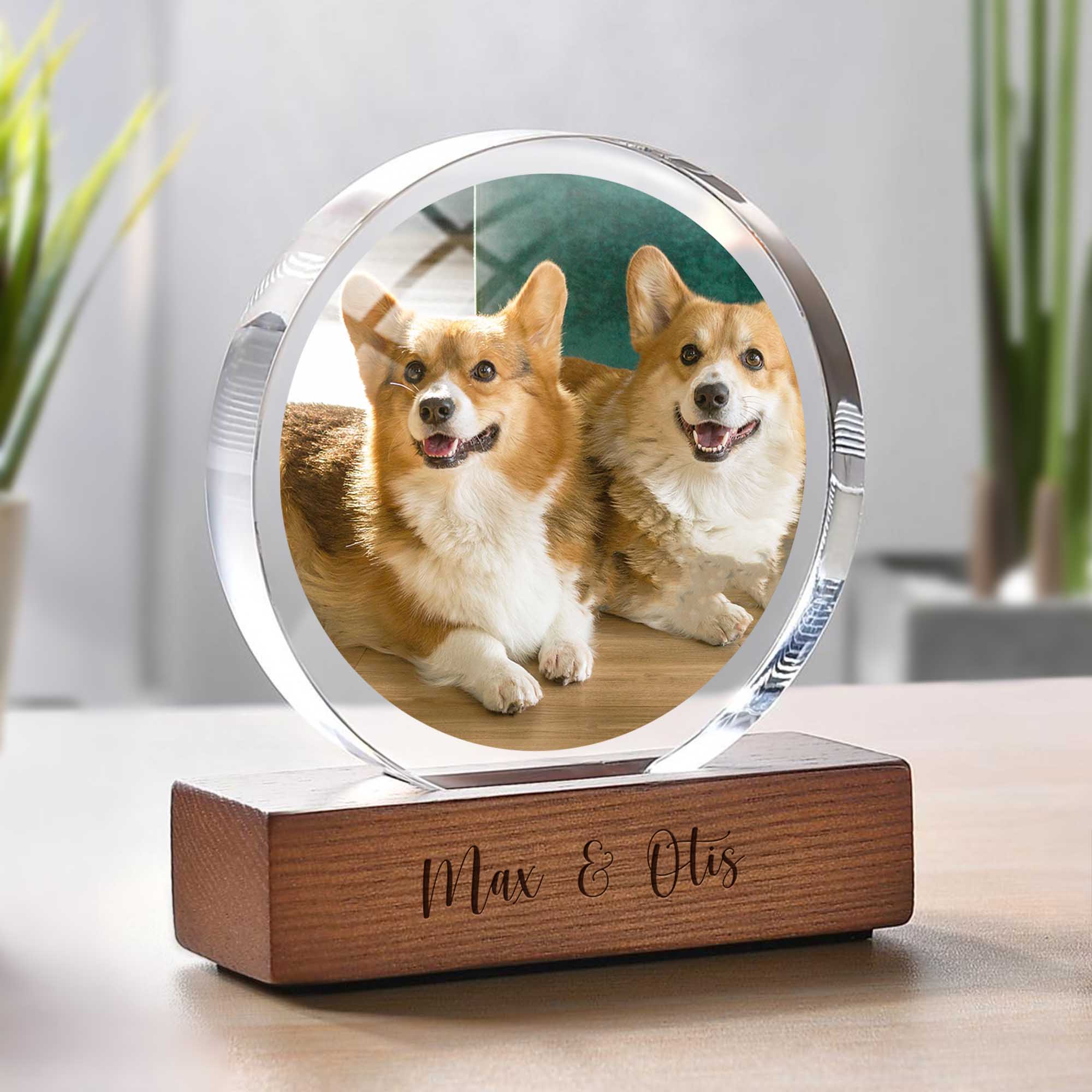Custom Pet Photo Round Acrylic Frame Block Gift For Dog Lovers, Cat Lovers CH07 896046 - Image 2