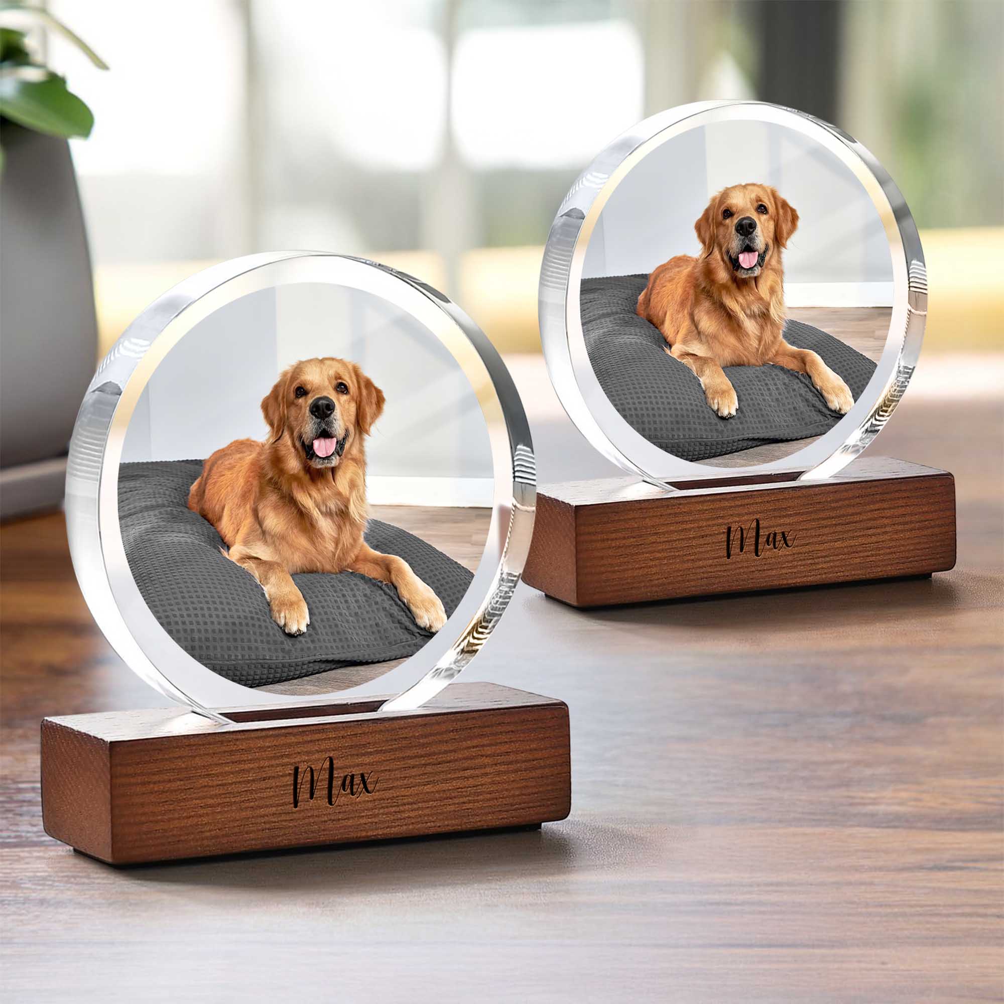 Custom Pet Photo Round Acrylic Frame Block Gift For Dog Lovers, Cat Lovers CH07 896046 - Image 5