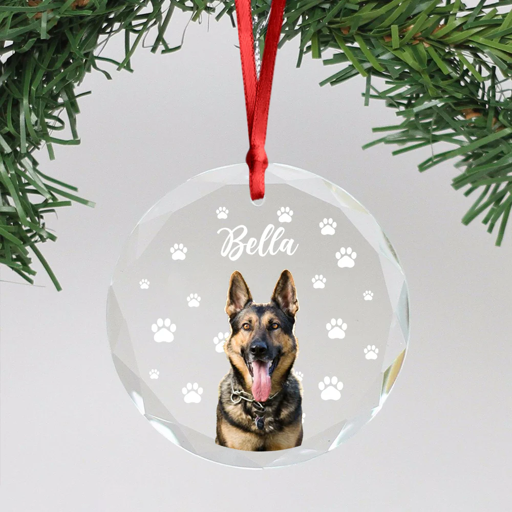Custom Pet Photo With Icon For Dog And Cat Lovers Glass Ornament TH10 894255 - Image 3