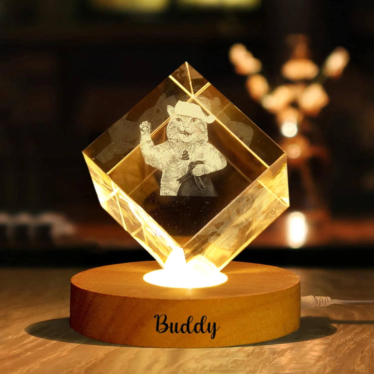 Custom Dog Cat Photo Engraved Crystal Photo With Light HA75 898202 - Image 3