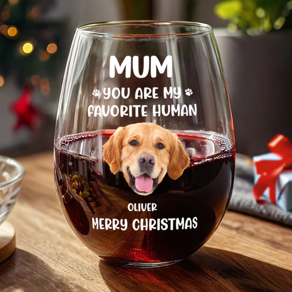 Custom Face Dog Cat - Mom, You’re My Favorite Human Wine Glass HA75 892944 - Image 3