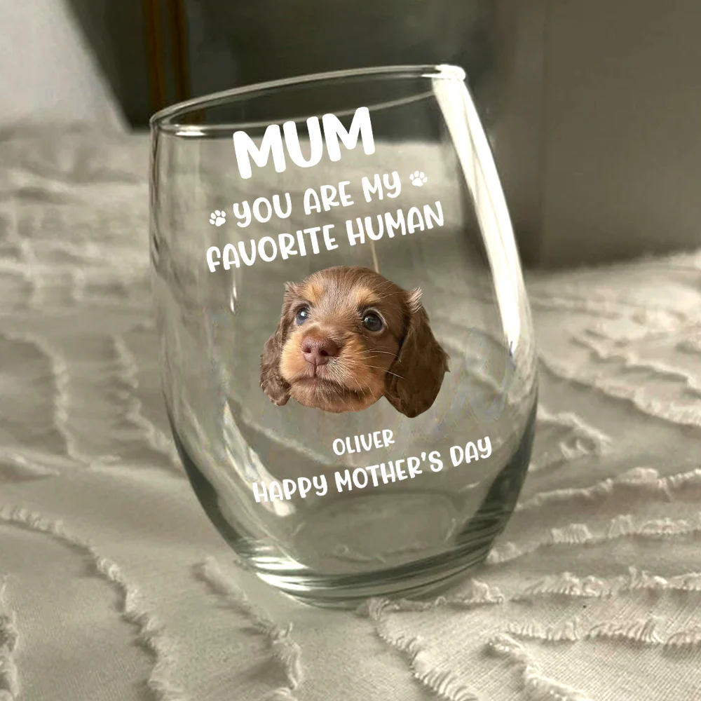 Custom Funny Face Dog Cat - Mom, You’re My Favorite Human Wine Glass HA75 892182 - Image 3