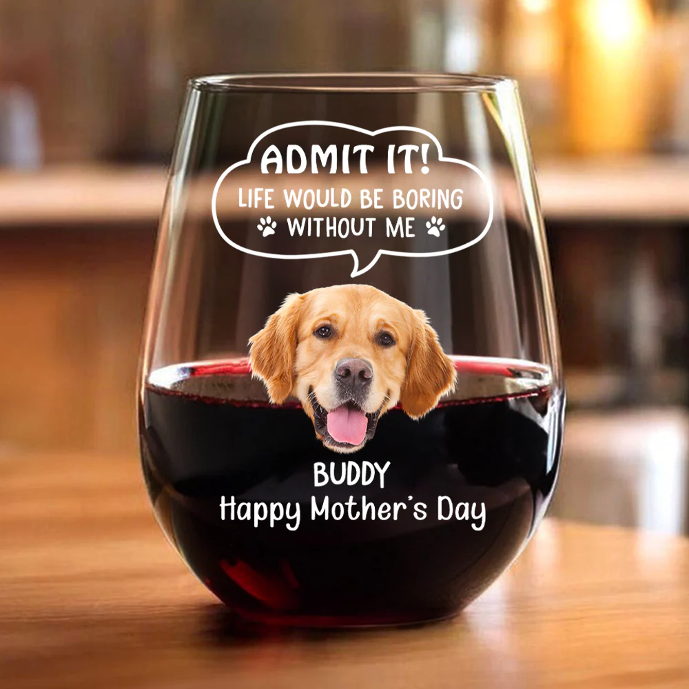 Custom Photo Admit it! Life Would Be Boring Without Me Dog Cat Wine Glass HA75 892250 - Image 3