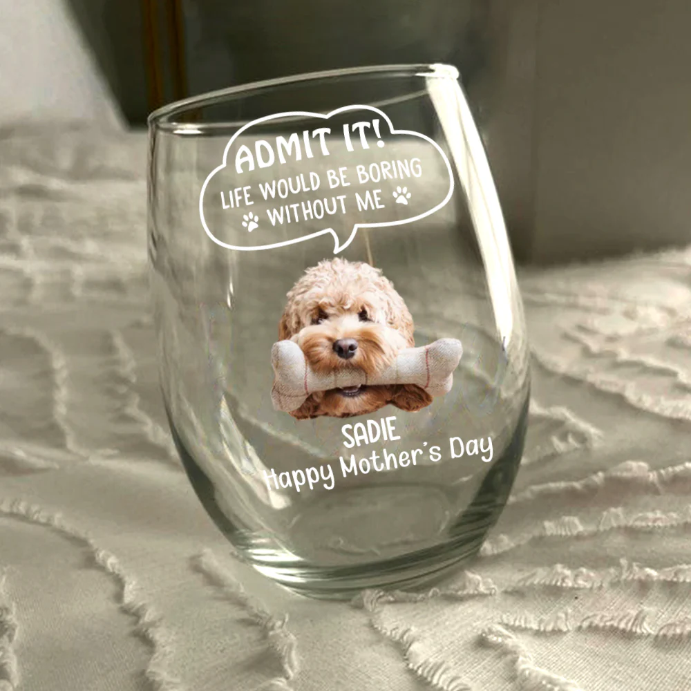Custom Photo Admit it! Life Would Be Boring Without Me Dog Cat Wine Glass HA75 892250 - Image 4
