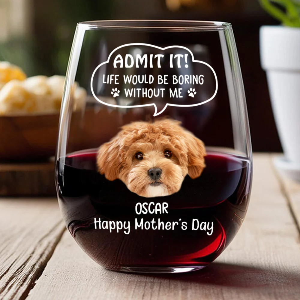 Custom Photo Admit it! Life Would Be Boring Without Me Dog Cat Wine Glass HA75 892250 - Image 5