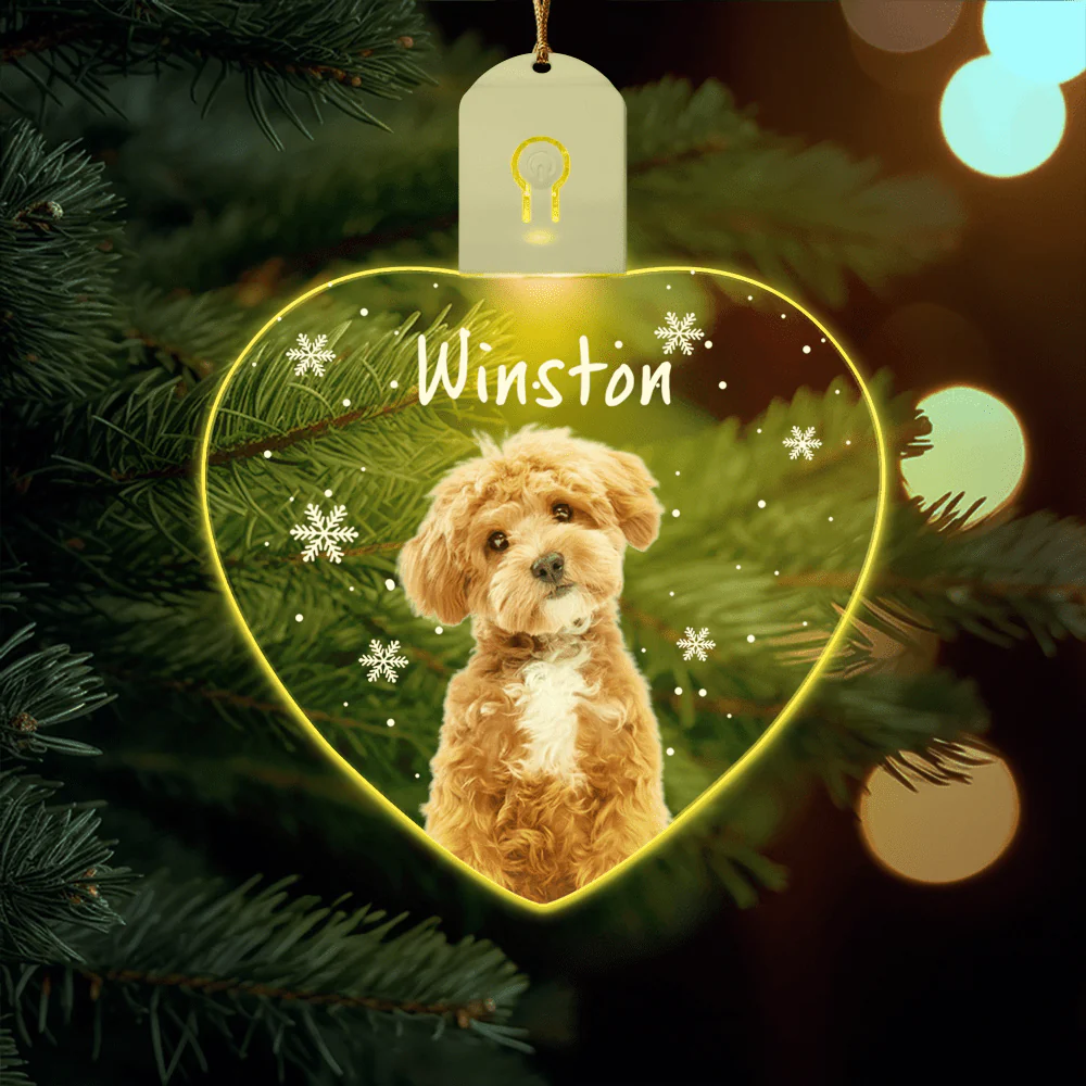 Custom Photo Dog Christmas Led Acrylic Ornament Christmas Gift For Dog Lovers HA75 891714
