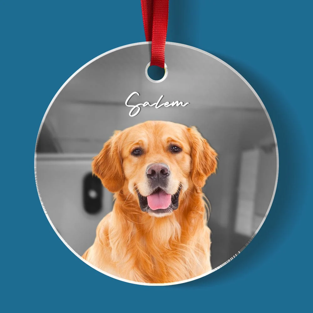 Custom Photo Dog Mirrored Acrylic Ornament For Christmas HA75 891638 - Image 3
