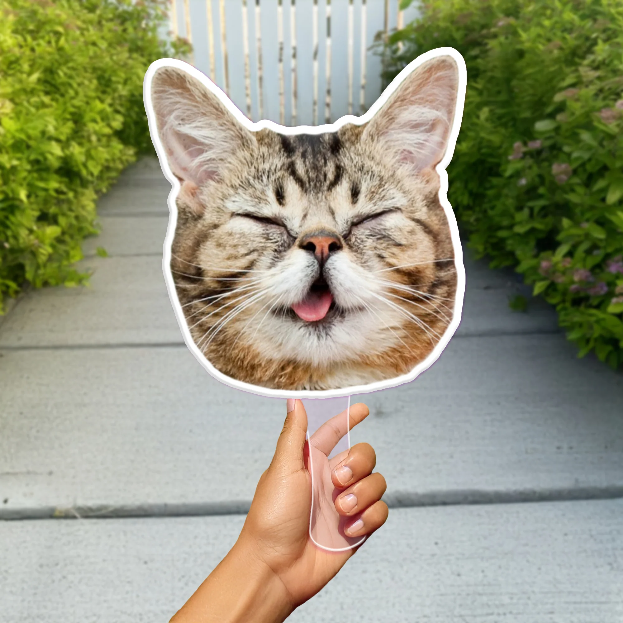 Custom Photo Funny Cat - Big Head Photo Face Fan HA75 892020 - Image 5