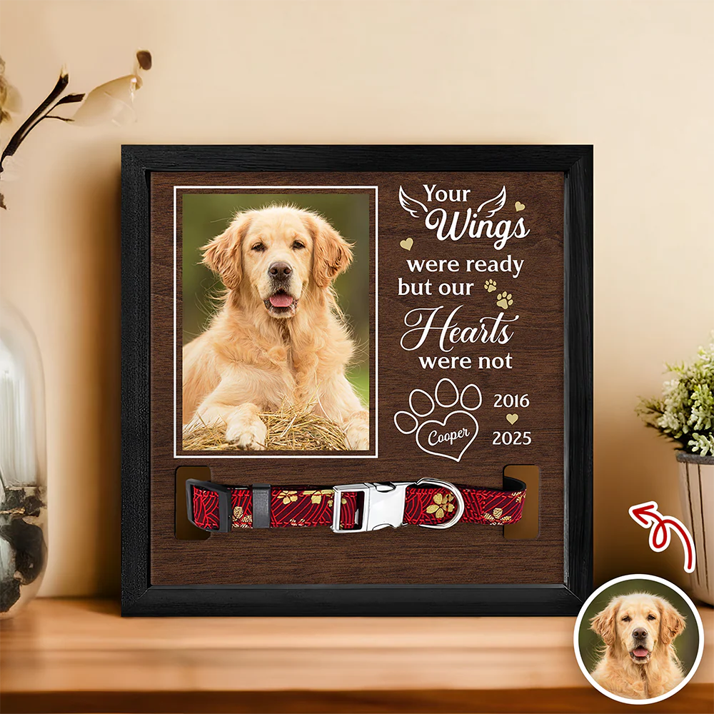 Custom Photo I Loved You Whole Life Memorial Dog Cat Square Collar Frame HA75 892818 - Image 8