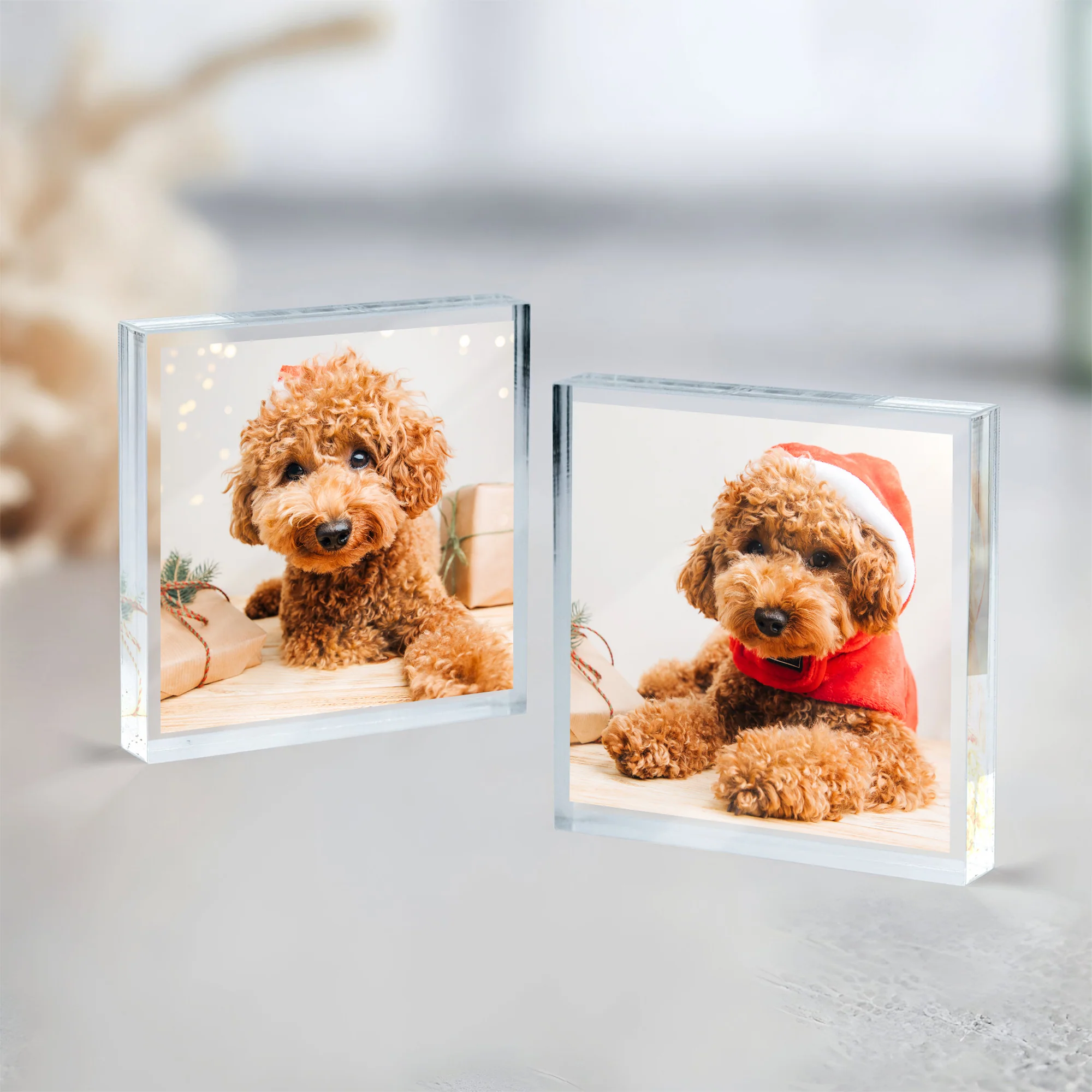 Custom Photo In loving Memory Dog Memorial Wooden & Acrylic Photo Block Set HA75 892700 - Image 13