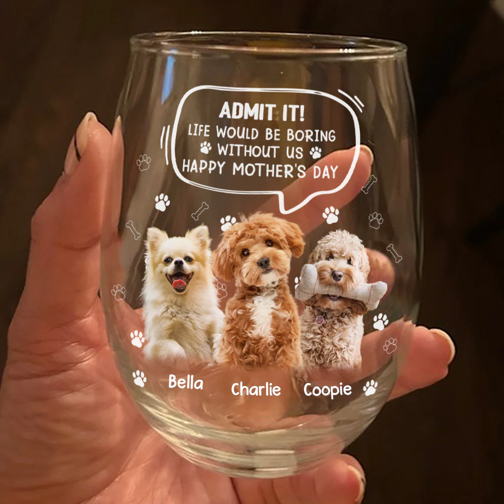 Custom Photo Life Would Be Boring Without Me Dog Cat Wine Glass HA75 892028 - Image 9