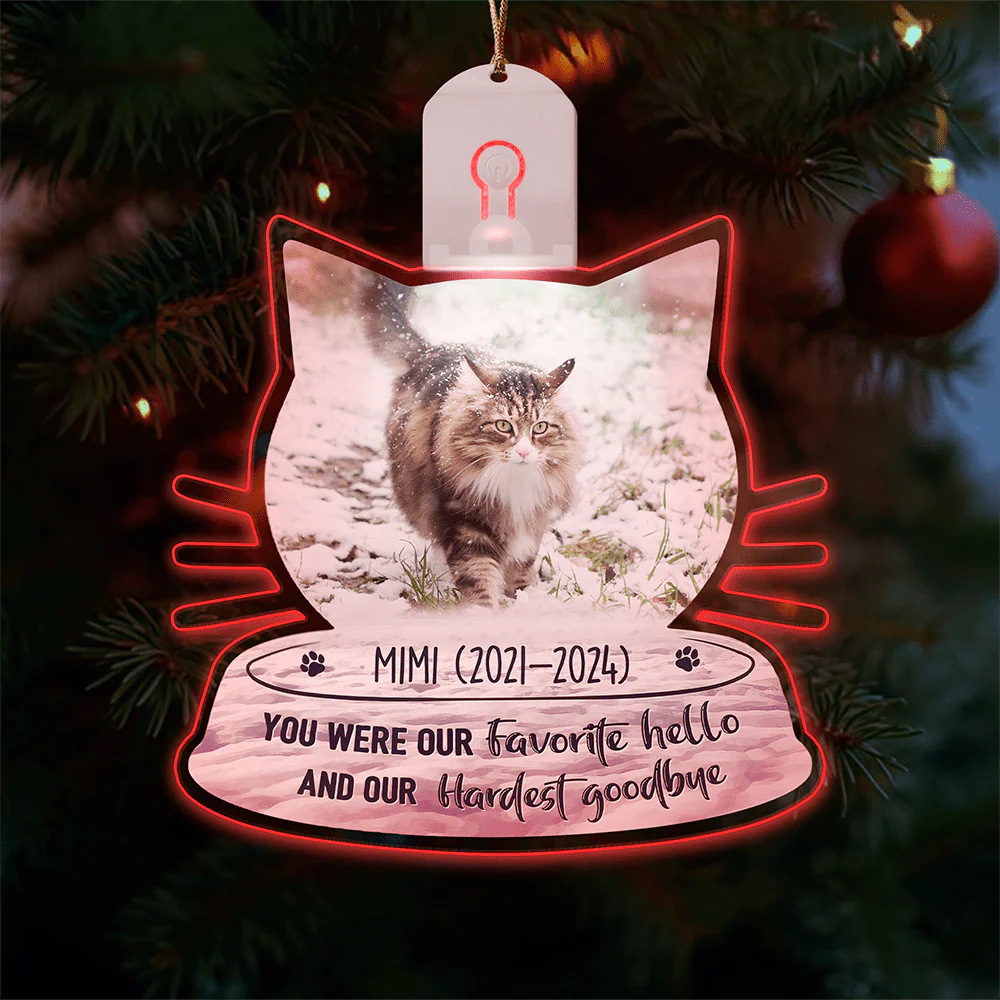 Custom Photo Loss Of Cat Forever Memorial Cat Led Acrylic Ornament HA75 891736 - Image 3
