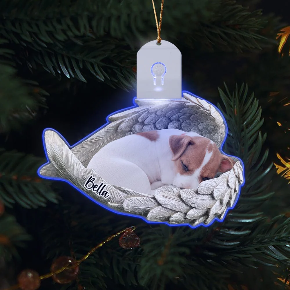 Custom Photo Pet Within Angel Wings Memorial Dog Cat Led Acrylic Ornament HA75 891720