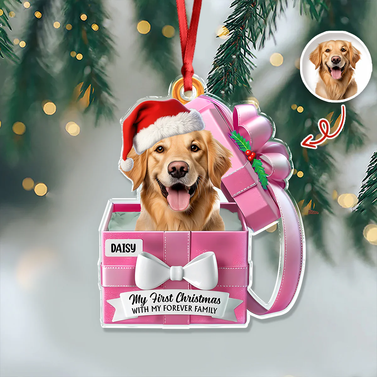 Custom Cute Dog Photo Gift Box From Your Buddy Acrylic Ornament LM32 893959 - Image 4