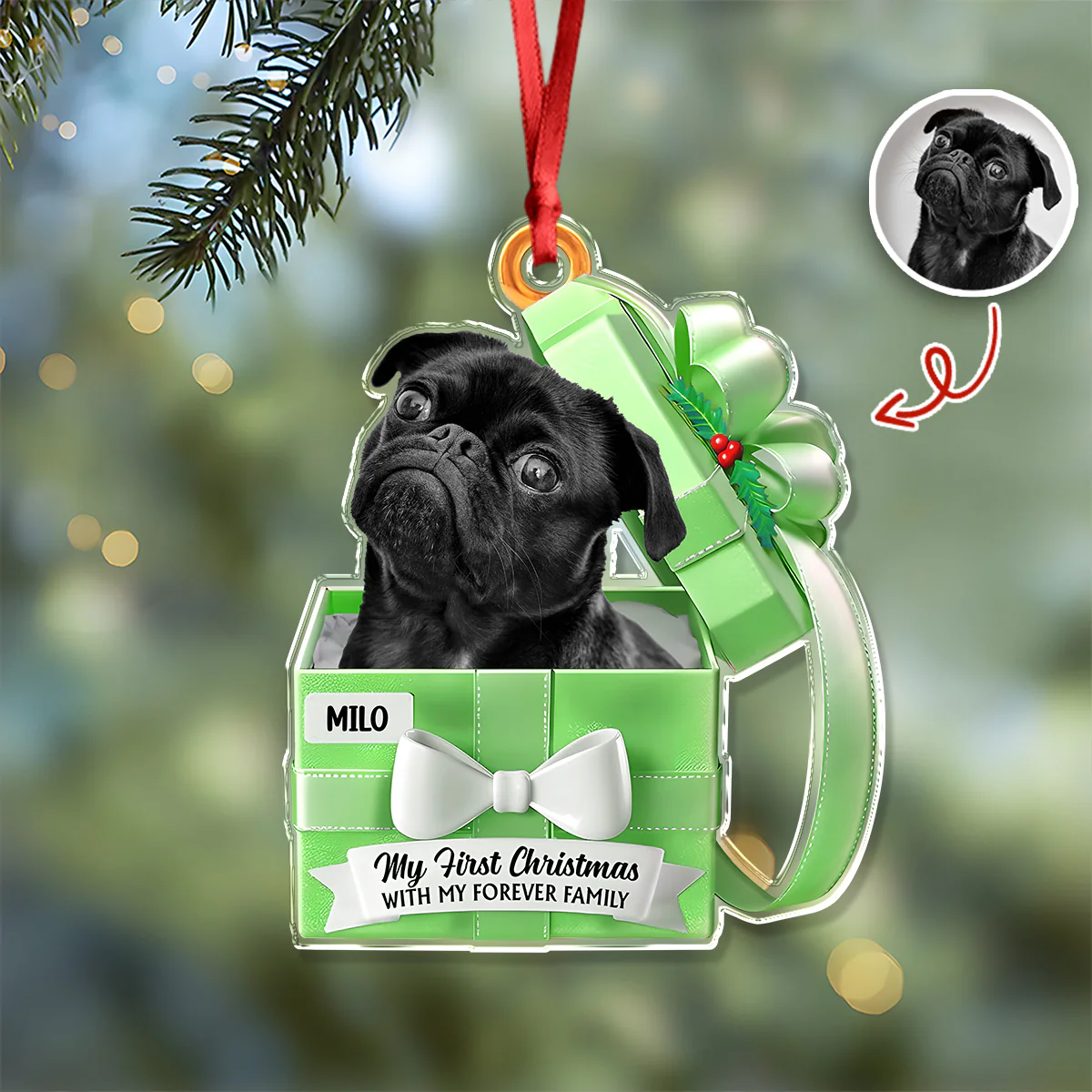 Custom Cute Dog Photo Gift Box From Your Buddy Acrylic Ornament LM32 893959 - Image 5