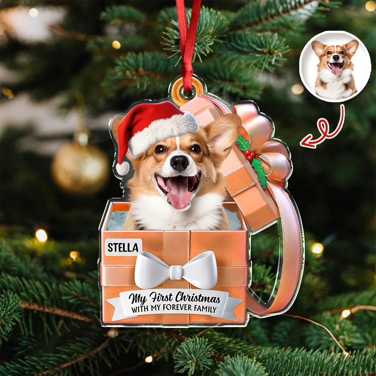 Custom Cute Dog Photo Gift Box From Your Buddy Acrylic Ornament LM32 893959 - Image 6