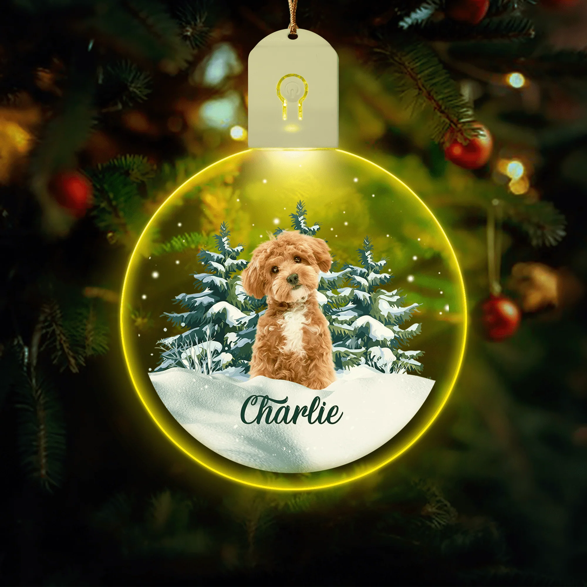 Custom Dog Photo and Name Led Acrylic Ornament For Dog Lovers HA75 891849