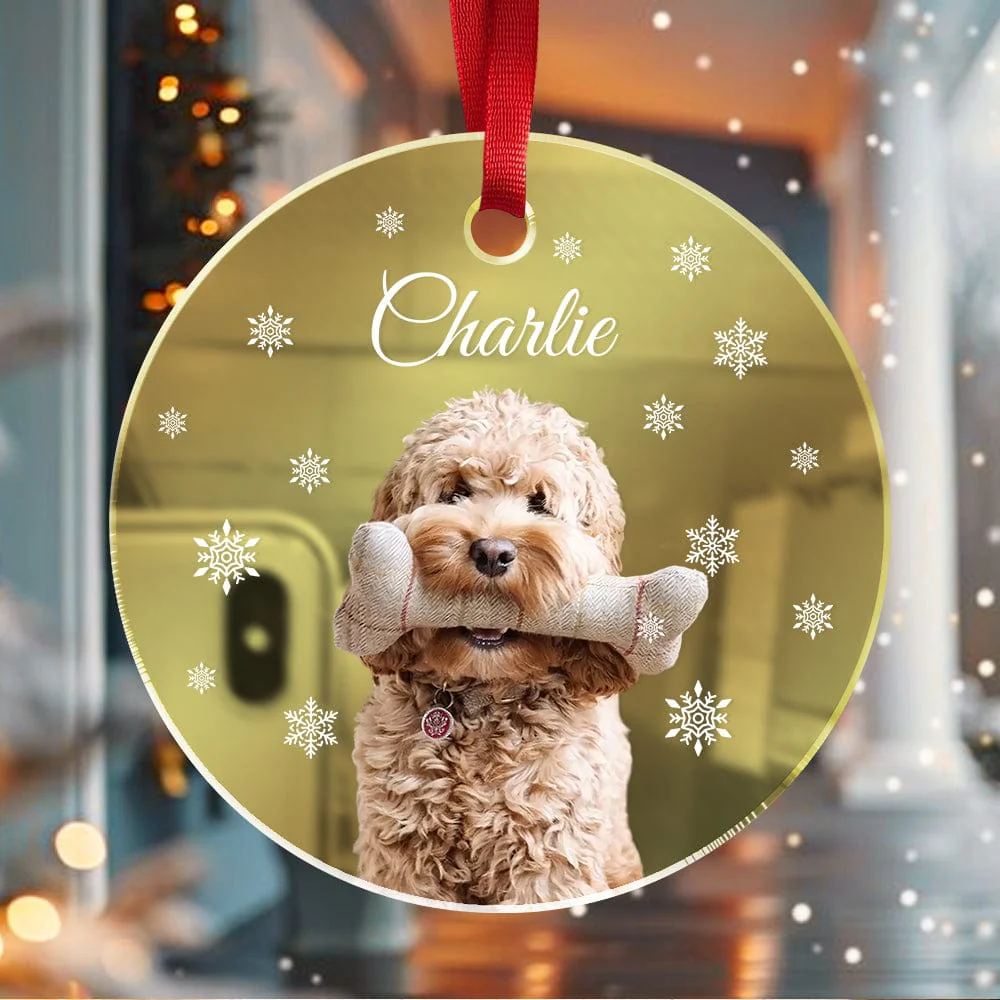 Custom Photo Dog Mirrored Acrylic Ornament For Dog Lovers TH10 891827 - Image 3