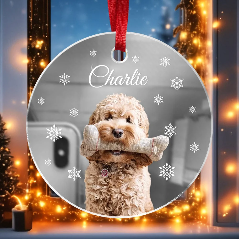 Custom Photo Dog Mirrored Acrylic Ornament For Dog Lovers TH10 891827 - Image 4